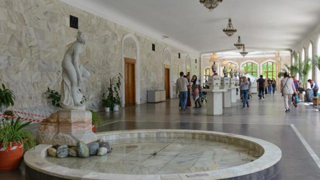 scale_1200 (1)